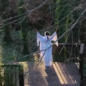 Meet your Posher, Desiree